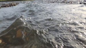 Катунь осенью