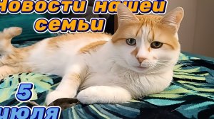 Новости нашей семьи. 5 Июля.