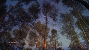 Балансировка чакр с любовью 💖🥁 — шаманский барабан и расслабляющая медитация  [Музыка без рекламы]