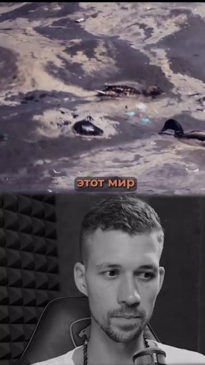 Знания приходят в нужное время... | Никита Метелица