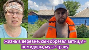 Жизнь в деревне: сын обрезал ветки, я - помидоры, муж - траву