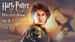 Встреча с пожирателями / Гарри Поттер и Кубок Огня / 1 часть — прохождение 101%