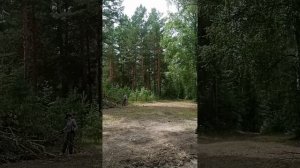 lv_0_20250705191431.mp4