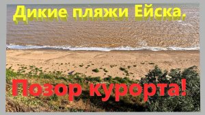 Дикие пляжи Ейска. Позор курорта!