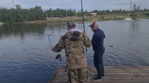 Форель на хамсу