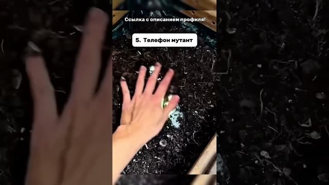 ТОП 10 дешевых находок для дома