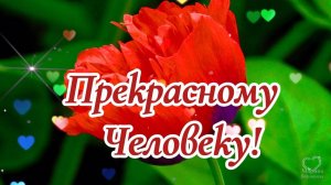 ПОЖЕЛАНИЯ ПРЕКРАСНОМУ ЧЕЛОВЕКУ....💌🌹🌹🌹🌹🌹🌹🌹🌹🌹🌹🌹