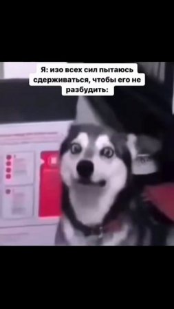 Когда захотелось покашлять, но только уложила ребёнка спать.