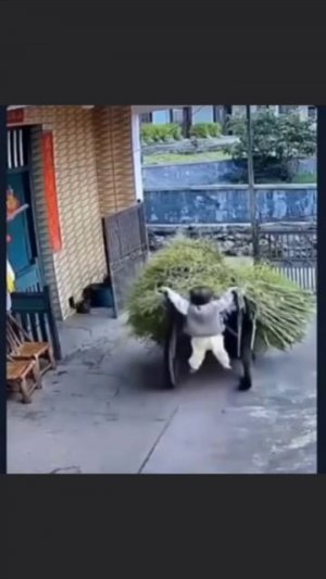 Помощник