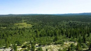 Ф. Гойя. Шансон для Милана. Ф. Гойя. Chanson Pour Milan.  Кольский полуостров