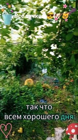 Все пучком