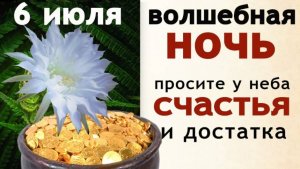 6 июля День Аграфены Купальницы, а ночь с 6 на 7 июля считается самой мистической в году