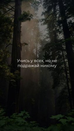 #учись #люди #ценности #рост #жизнь #саморазвитие #цитаты #неподкаст