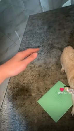 1000002824.mp4