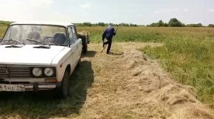 Повезло с сеном.