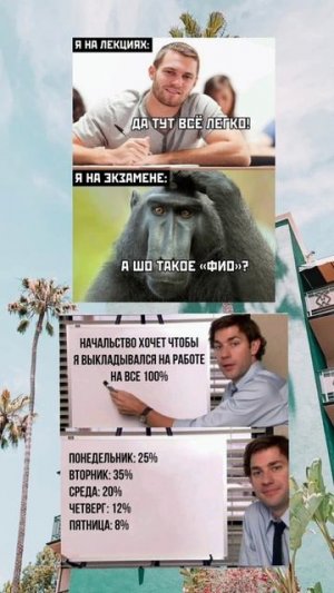 Новые мемы