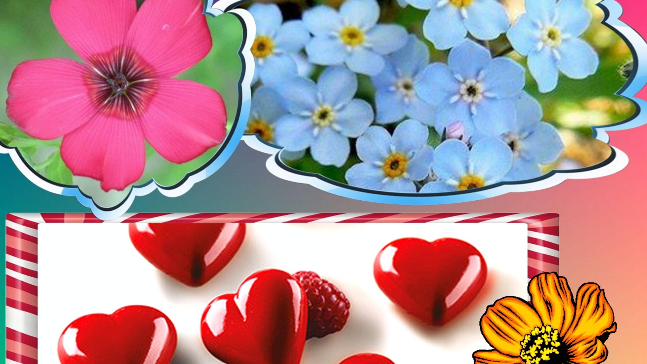 МАЛЕНЬКИЙ ЦВЕТОЧЕК . смотреть онлайн