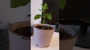 1000004081.mp4