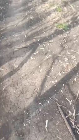 Когда звонки родным действительно важны и твоя цель остаётся только выжить) 

Так и живём 🤷♂️