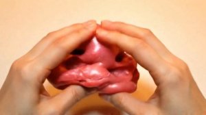Squishy Bliss | ASMR & Toy Unboxing