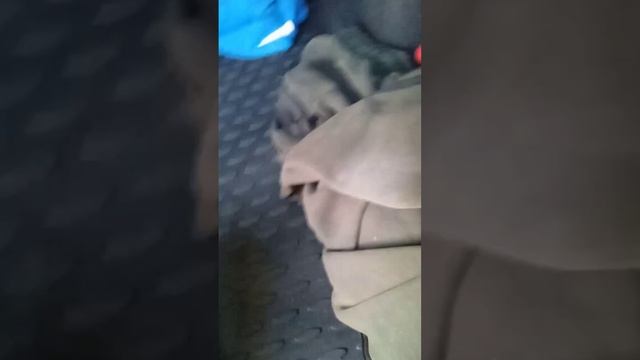 Подготовка к ловле раков🦞😉

Подписывайтесь, ставьте лайки, оставляйте коментарии👍