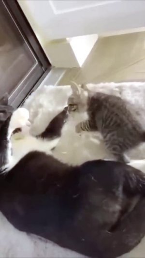 ИГРЫШКИ