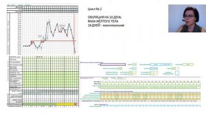 Беременность после 2 лет бесплодия. Как быстро забеременеть с помощью СТМРП