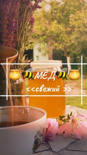 Свежий мёд 🍯🐝