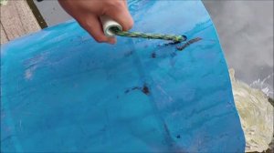 Зарыбление осетром нижнего водоёма 150 кг. Клёвое место, Лосиный остров.
