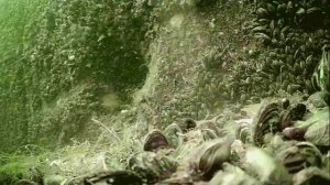 1000045912.mp4Волга гл.5м.05.07.2025г.