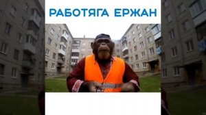 работяга