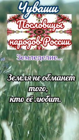 Пословицы