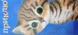 обзор книги . котёнок тигр или искатель приключений