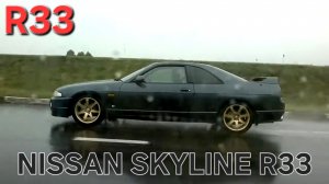 Nissan Skyline R33
 R17 RAYS Versus Campionato SS7 Gold Edition, Apexi Super Megaphone, Tein type HA