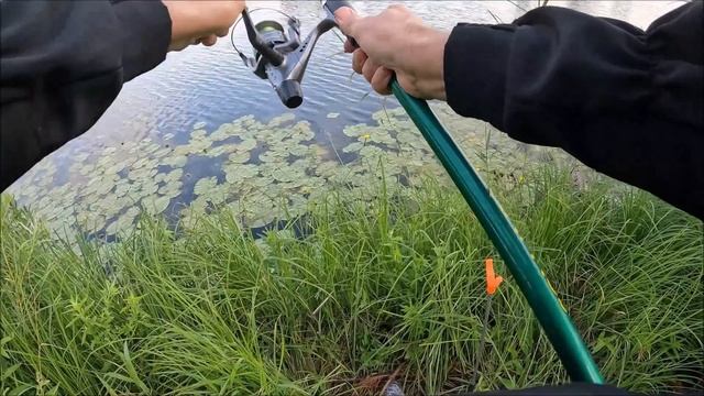 Зелёный чеснок лучшая приманка на раков смотреть онлайн