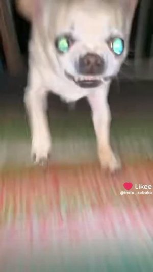 1000002814.mp4