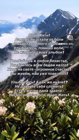 Мудрые советы