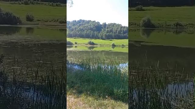 1000106945.mp4