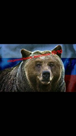 ОЦЕНИВАЮ РОССИЮ