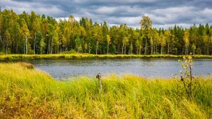 360. Далёкое  Озеро Савиновское. Оричевский рн.