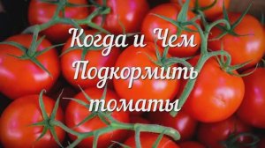 Чего не Хватает Томатам? Определяем по Листьям и Плодам! ШПАРГАЛКА! Когда и Чем Подкормить Томаты