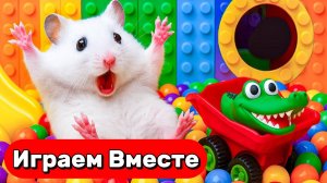Веселый лабиринт с ловушками для УМНОГО ХОМЯКА ! Видео для детей