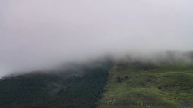 Мелодия превращает поля в магические пространства - Давай хором споём -- POVALISHIN DIVISION -- Выпу