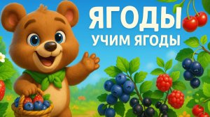 УЧИМ ЯГОДЫ С МИШКОЙ