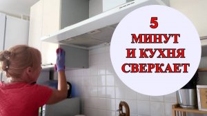 50 грамм этого средства отмоет кухню до блеска, от жира, налета не останется и следа