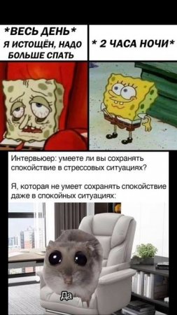 Новые мемы