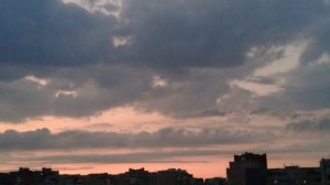 Добрый вечер друзья.Стрижи ужинают.🐦⬛🦟