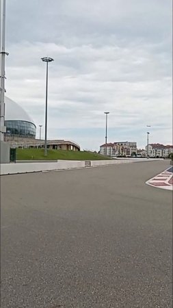 пингвины