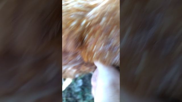 1000019604.mp4