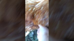 1000019604.mp4